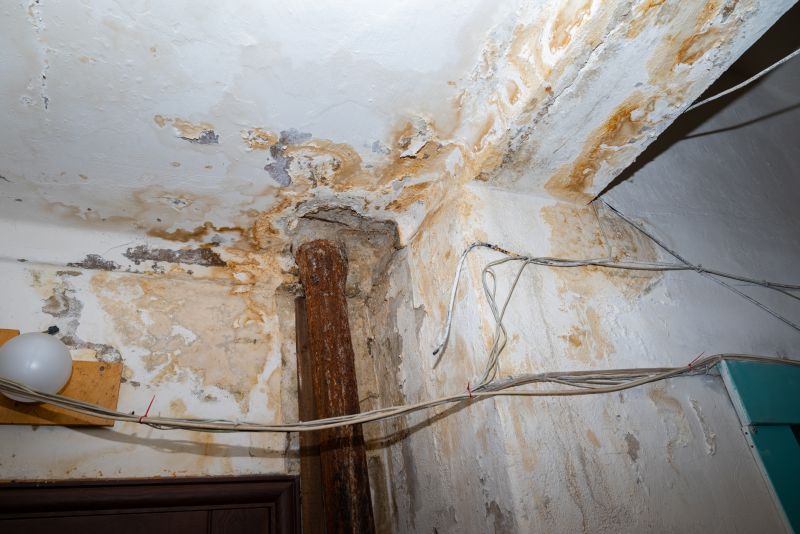 Interior Water Damage